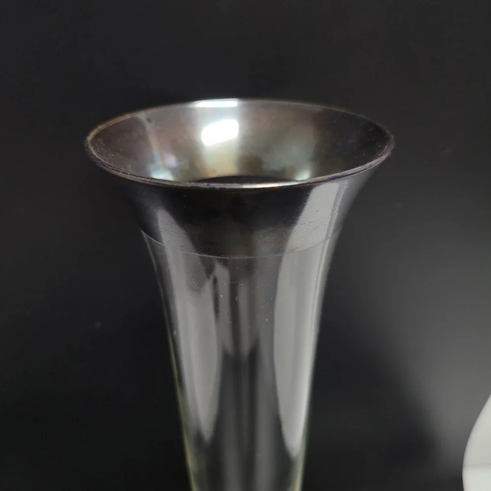 Vintage 10 Inch Clear Glass Bud Vase with Silver Rim Skinny Trumpet Decor